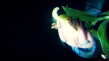 Still from the Show You music video